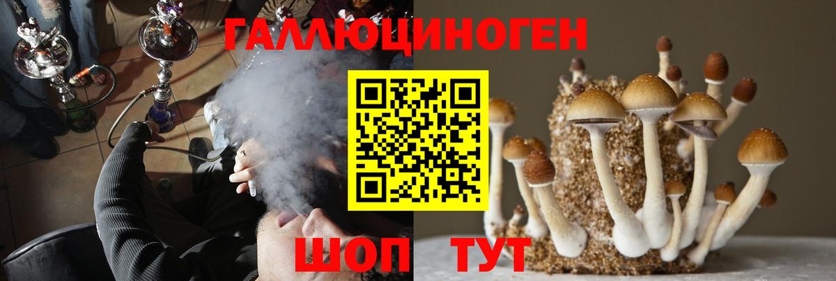 Галлюциногенные грибы GOLDEN TEACHER  Псилоцибиновые грибы Magic Shrooms  Вход с VPN  Избербаш 